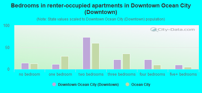 Bedrooms in renter-occupied apartments in Downtown Ocean City (Downtown)