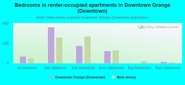 Bedrooms in renter-occupied apartments in Downtown Orange (Downtown)