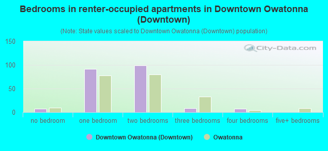 Bedrooms in renter-occupied apartments in Downtown Owatonna (Downtown)