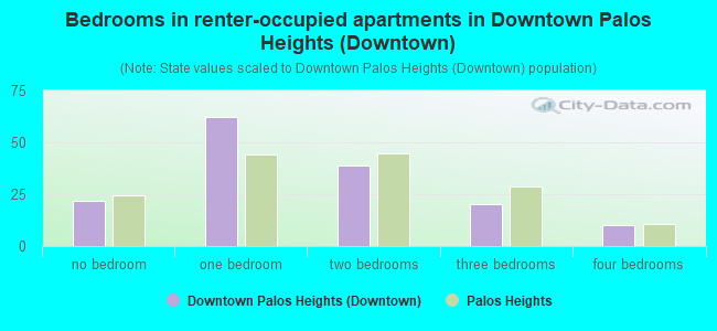 Bedrooms in renter-occupied apartments in Downtown Palos Heights (Downtown)