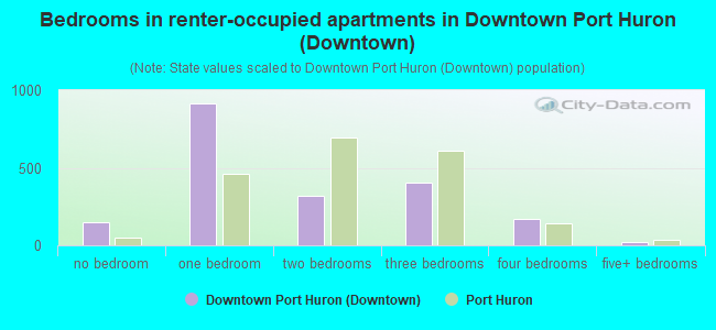 Bedrooms in renter-occupied apartments in Downtown Port Huron (Downtown)