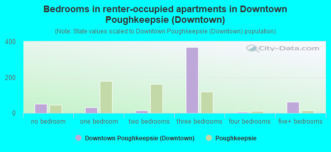 Bedrooms in renter-occupied apartments in Downtown Poughkeepsie (Downtown)