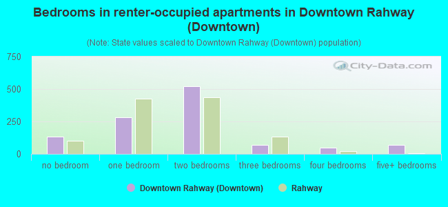 Bedrooms in renter-occupied apartments in Downtown Rahway (Downtown)