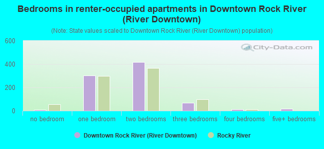 Bedrooms in renter-occupied apartments in Downtown Rock River (River Downtown)
