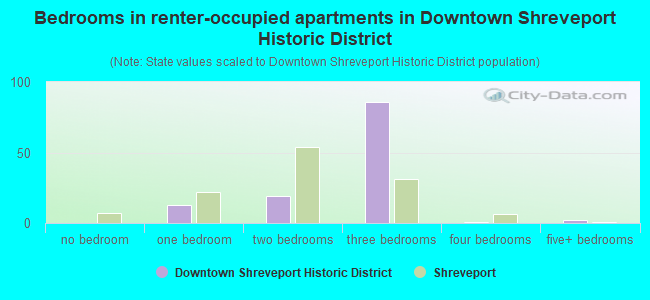 Bedrooms in renter-occupied apartments in Downtown Shreveport Historic District