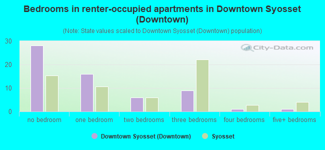 Bedrooms in renter-occupied apartments in Downtown Syosset (Downtown)
