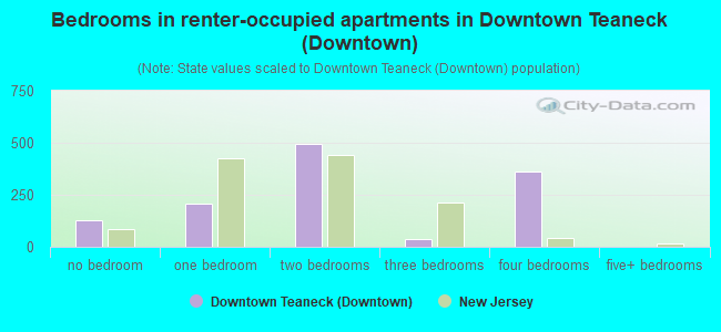 Bedrooms in renter-occupied apartments in Downtown Teaneck (Downtown)