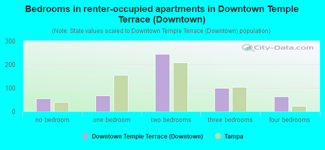 Bedrooms in renter-occupied apartments in Downtown Temple Terrace (Downtown)