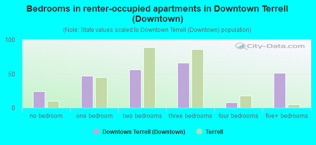 Bedrooms in renter-occupied apartments in Downtown Terrell (Downtown)