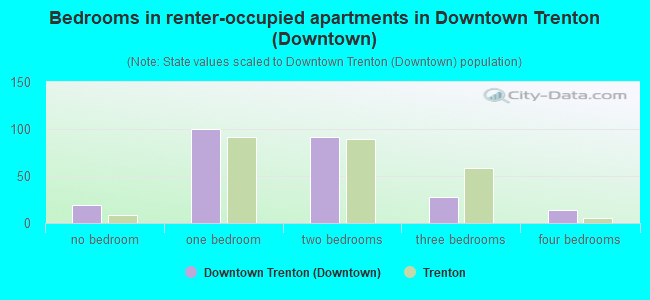 Bedrooms in renter-occupied apartments in Downtown Trenton (Downtown)