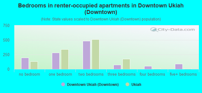 Bedrooms in renter-occupied apartments in Downtown Ukiah (Downtown)