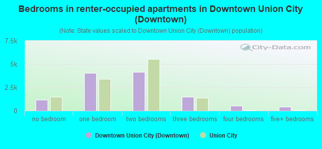 Bedrooms in renter-occupied apartments in Downtown Union City (Downtown)