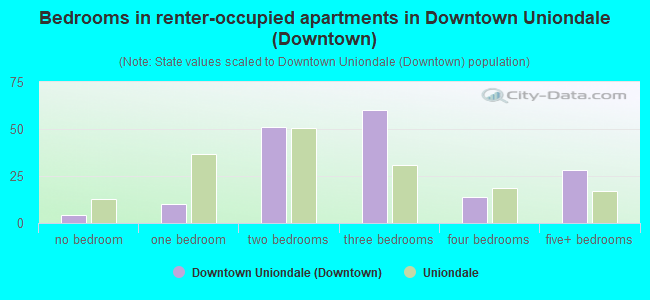 Bedrooms in renter-occupied apartments in Downtown Uniondale (Downtown)