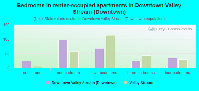 Bedrooms in renter-occupied apartments in Downtown Valley Stream (Downtown)