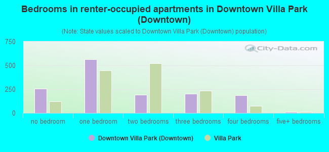 Bedrooms in renter-occupied apartments in Downtown Villa Park (Downtown)
