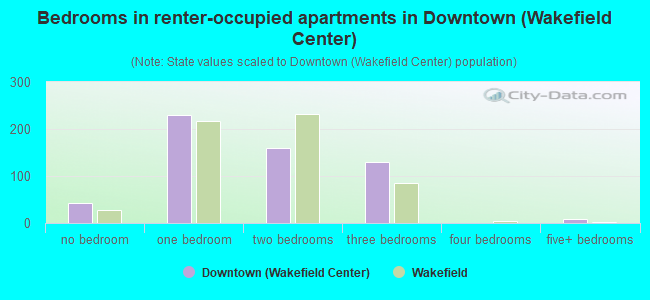 Bedrooms in renter-occupied apartments in Downtown (Wakefield Center)