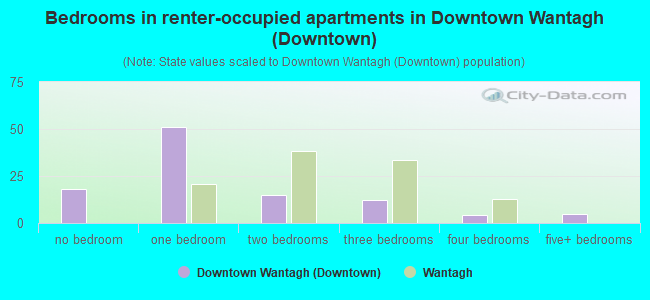 Bedrooms in renter-occupied apartments in Downtown Wantagh (Downtown)