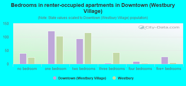 Bedrooms in renter-occupied apartments in Downtown (Westbury Village)