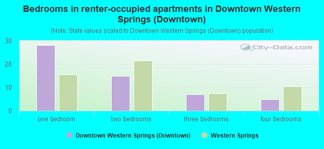 Bedrooms in renter-occupied apartments in Downtown Western Springs (Downtown)