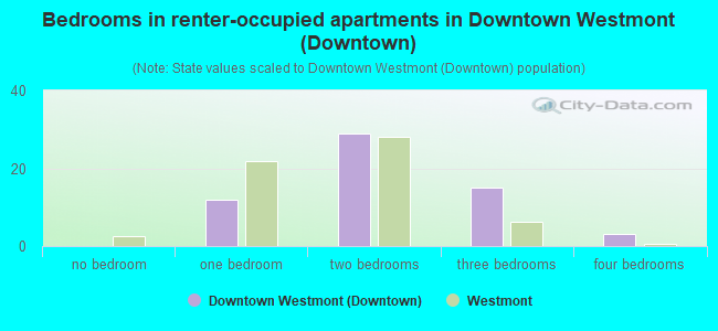 Bedrooms in renter-occupied apartments in Downtown Westmont (Downtown)