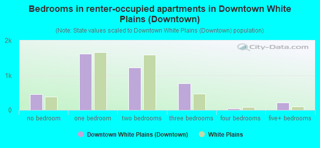 Bedrooms in renter-occupied apartments in Downtown White Plains (Downtown)