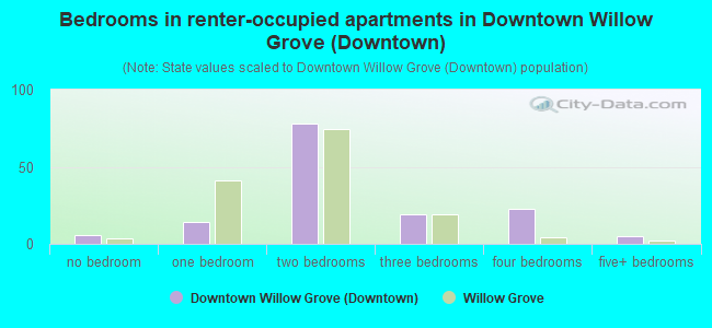 Bedrooms in renter-occupied apartments in Downtown Willow Grove (Downtown)