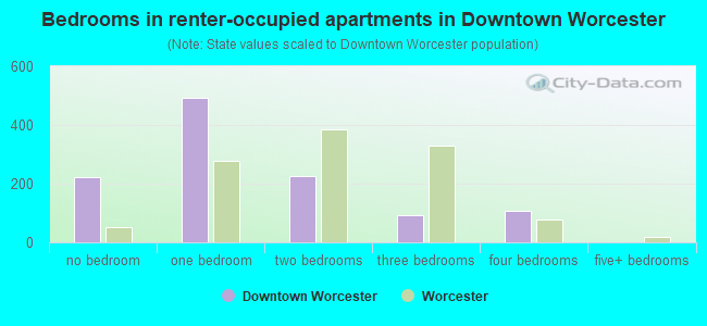 Bedrooms in renter-occupied apartments in Downtown Worcester