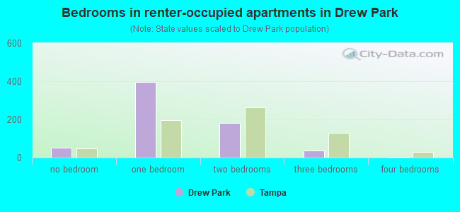 Bedrooms in renter-occupied apartments in Drew Park