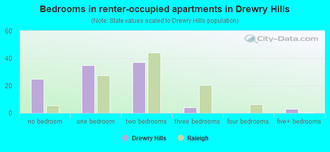 Bedrooms in renter-occupied apartments in Drewry Hills