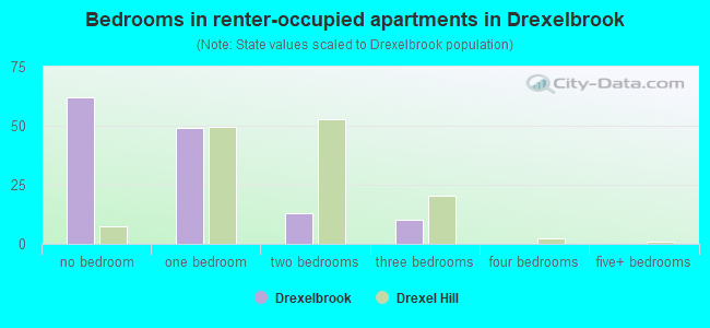 Bedrooms in renter-occupied apartments in Drexelbrook