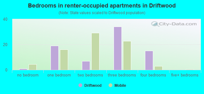 Bedrooms in renter-occupied apartments in Driftwood