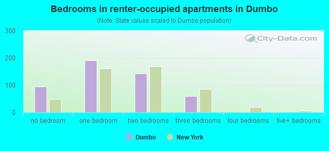 Bedrooms in renter-occupied apartments in Dumbo