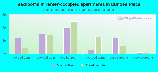 Bedrooms in renter-occupied apartments in Dundee Place