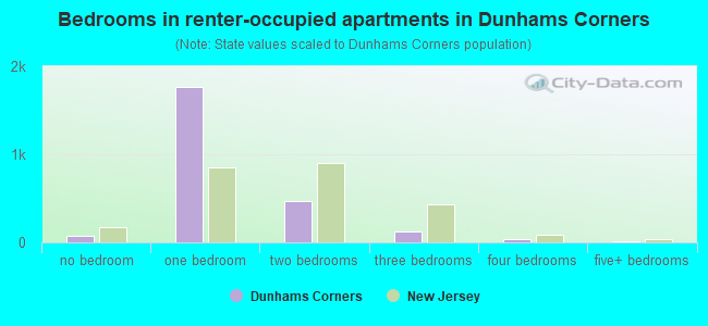 Bedrooms in renter-occupied apartments in Dunhams Corners