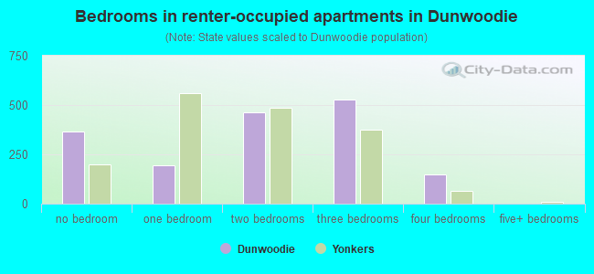 Bedrooms in renter-occupied apartments in Dunwoodie