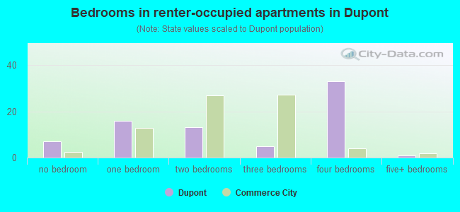 Bedrooms in renter-occupied apartments in Dupont