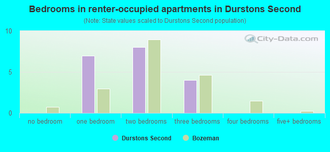 Bedrooms in renter-occupied apartments in Durstons Second