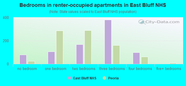 Bedrooms in renter-occupied apartments in East Bluff NHS