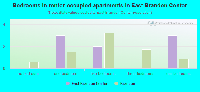 Bedrooms in renter-occupied apartments in East Brandon Center