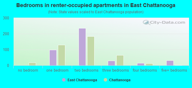 Bedrooms in renter-occupied apartments in East Chattanooga