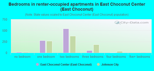 Bedrooms in renter-occupied apartments in East Choconut Center (East Choconut)