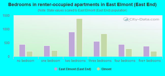 Bedrooms in renter-occupied apartments in East Elmont (East End)