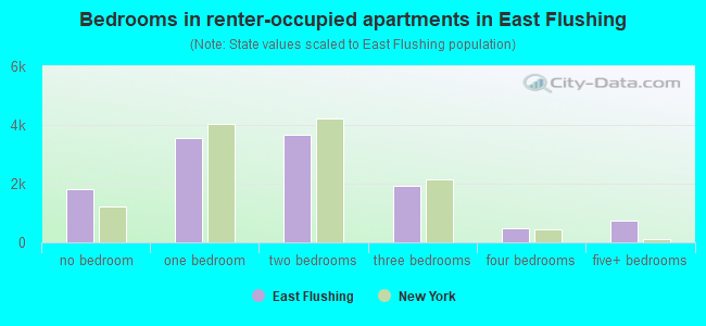 Bedrooms in renter-occupied apartments in East Flushing