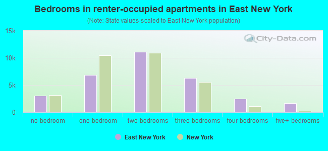 Bedrooms in renter-occupied apartments in East New York