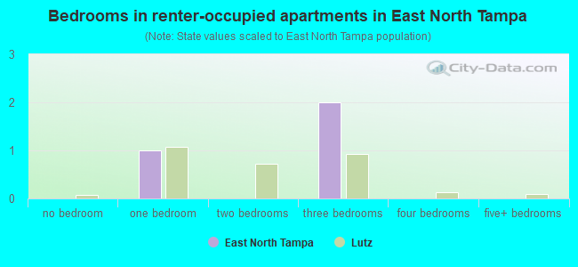 Bedrooms in renter-occupied apartments in East North Tampa