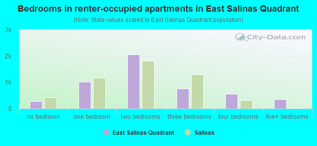 Bedrooms in renter-occupied apartments in East Salinas Quadrant