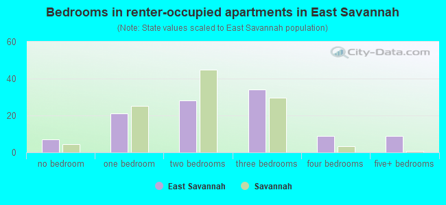 Bedrooms in renter-occupied apartments in East Savannah