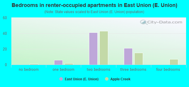 Bedrooms in renter-occupied apartments in East Union (E. Union)