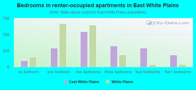 Bedrooms in renter-occupied apartments in East White Plains