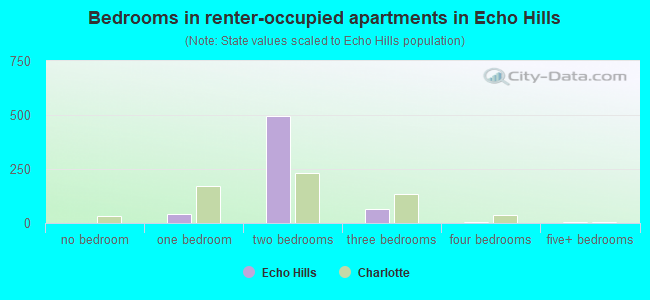 Bedrooms in renter-occupied apartments in Echo Hills